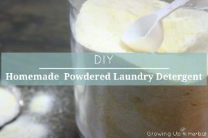 DIY: Homemade Powdered Laundry Detergent | GrowingUpHerbal.com | Make your own powdered laundry detergent and decrease the toxins in your home!