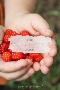 berry.jpg