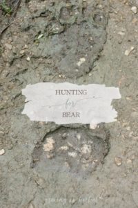 bear-main.jpg
