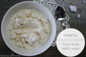 Healthy Snow Cream Your Kids Will Love | GrowingUpHerbal.com
