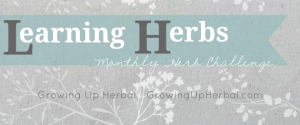 "Learning Herbs" Monthly Herb Challenge | GrowingUpHerbal.com | Wanna learn more about herbs in a simple, easy-to-understand way? Join me!