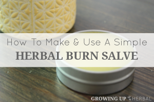 How To Make And Use A Simple Herbal Burn Salve | GrowingUpHerbal.com