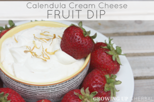 Calendula Cream Cheese Fruit Dip | GrowingUpHerbal.com | See how I use calendula in this delicious real food fruit dip!