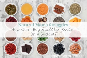 Natural Mama Struggles: How Can I Buy Healthy Foods On A Budget | GrowingUpHerbal.com | Looking to afford healthy foods on a tight budget? Here are 5 tips to help.