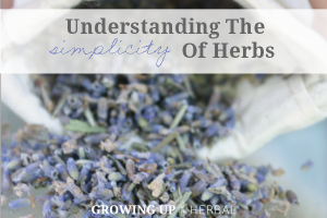 Understanding The Simplicity Of Herbs | GrowingUpHerbal.com