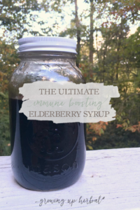 The Ultimate Immune Boosting Elderberry Syrup | GrowingUpHerbal.com | Boost your child's immune system before cold & flu season with this 3-in-1 elderberry syrup!