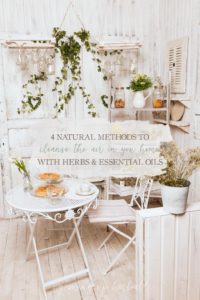 4 Natural Methods To Cleanse The Air In Your Home With Herbs And Essential Oils | Growing Up Herbal | Decrease your chances of picking up a virus by cleansing the air in your home.