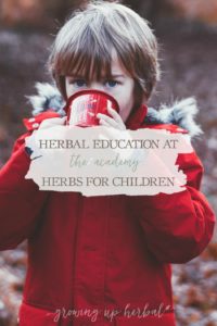 Herbal Education At The Academy: Herbs For Children | Growing Up Herbal | Interested in going to herbal school? Here's a sneak peek at the Herbal Academy's Intermediate herbal course!