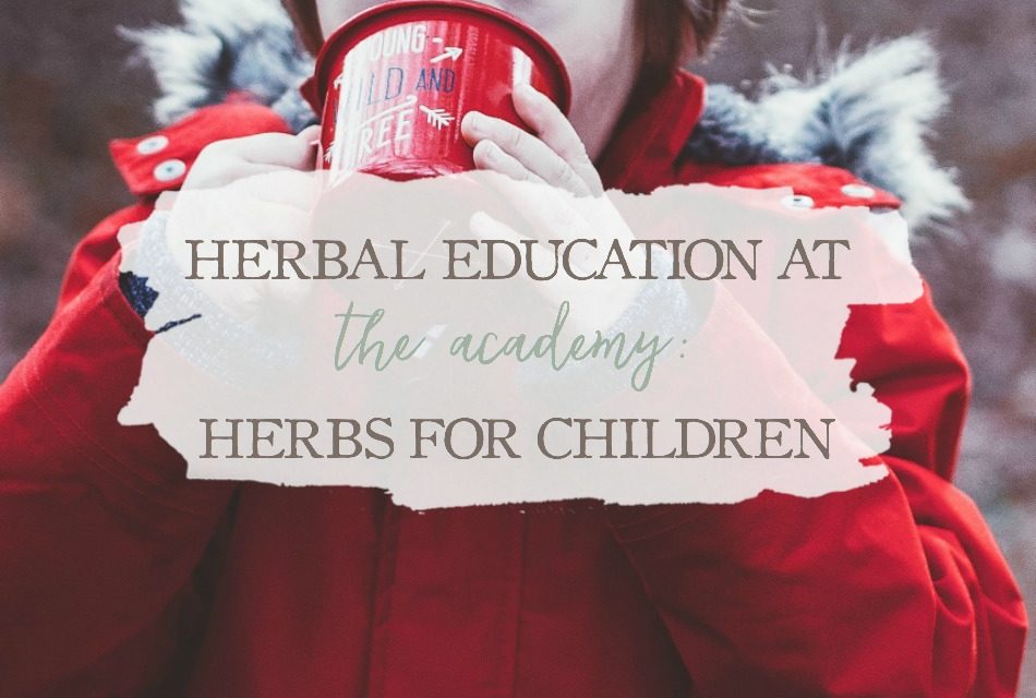 Herbal Education At The Academy Herbs For Children