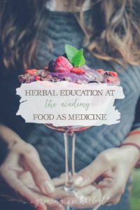 Herbal Education At The Academy: Food As Medicine | Growing Up Herbal | Interested in going to herbal school? Here's a sneak peek at the Herbal Academy's Intermediate herbal course!
