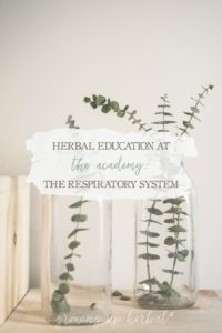 Herbal Education At The Academy: The Respiratory System | Growing Up Herbal | Interested in going to herbal school? Here's a sneak peek at the Herbal Academy's Intermediate herbal course!