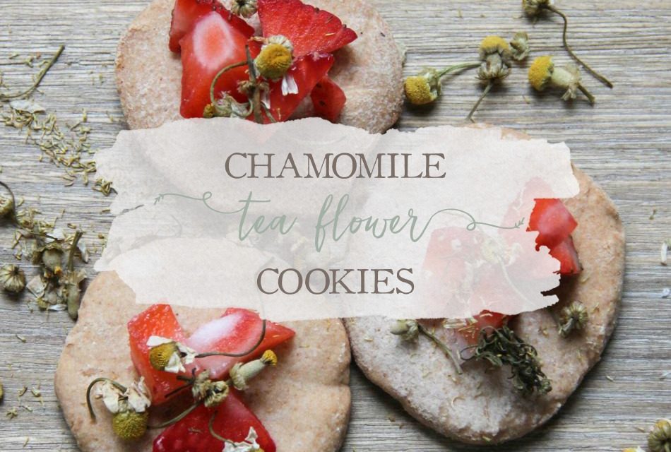 How To Dry Chamomile Flowers In The Oven Best Flower Site