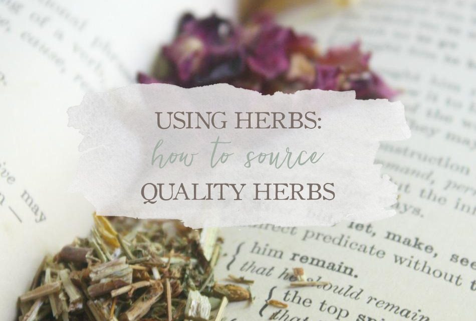 How To Source Quality Herbs Growing Up Herbal