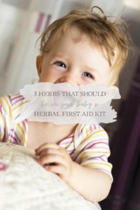 5 Herbs That Should Be In Your Baby's Herbal First Aid Kit | Growing Up Herbal | Looking for herbs for your baby's herbal first aid kit? Here are my top 5 picks!