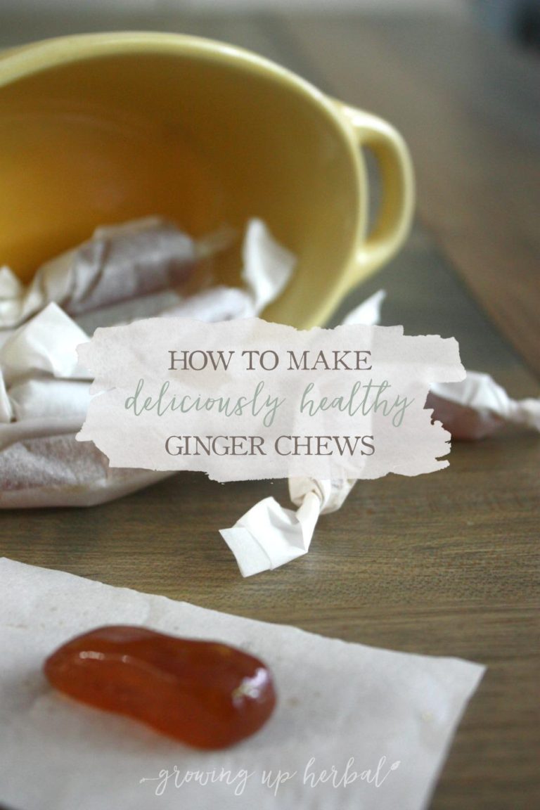 How To Make Deliciously Healthy Ginger Chews Growing Up Herbal