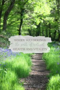Woody Wanderings: The Path of Natural Living And Vitality | Growing Up Herbal | Curious about what's a natural living journey is like? Come read a fun adventure story of your family getting started on the path of Natural Health and Vitality!