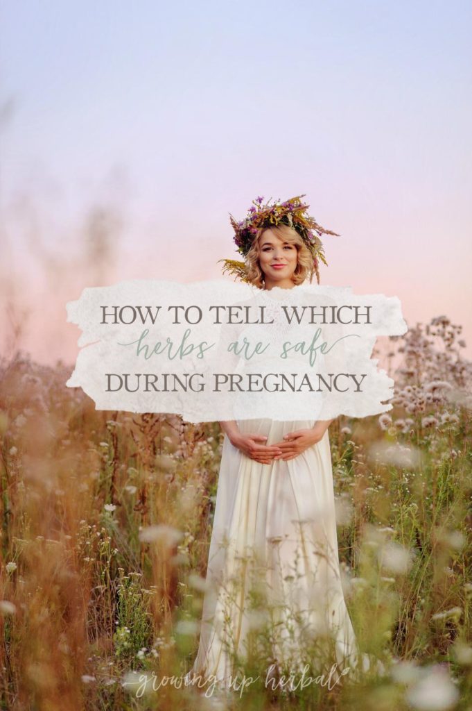 How To Tell Which Herbs Are Safe During Pregnancy (And Which Aren't)
