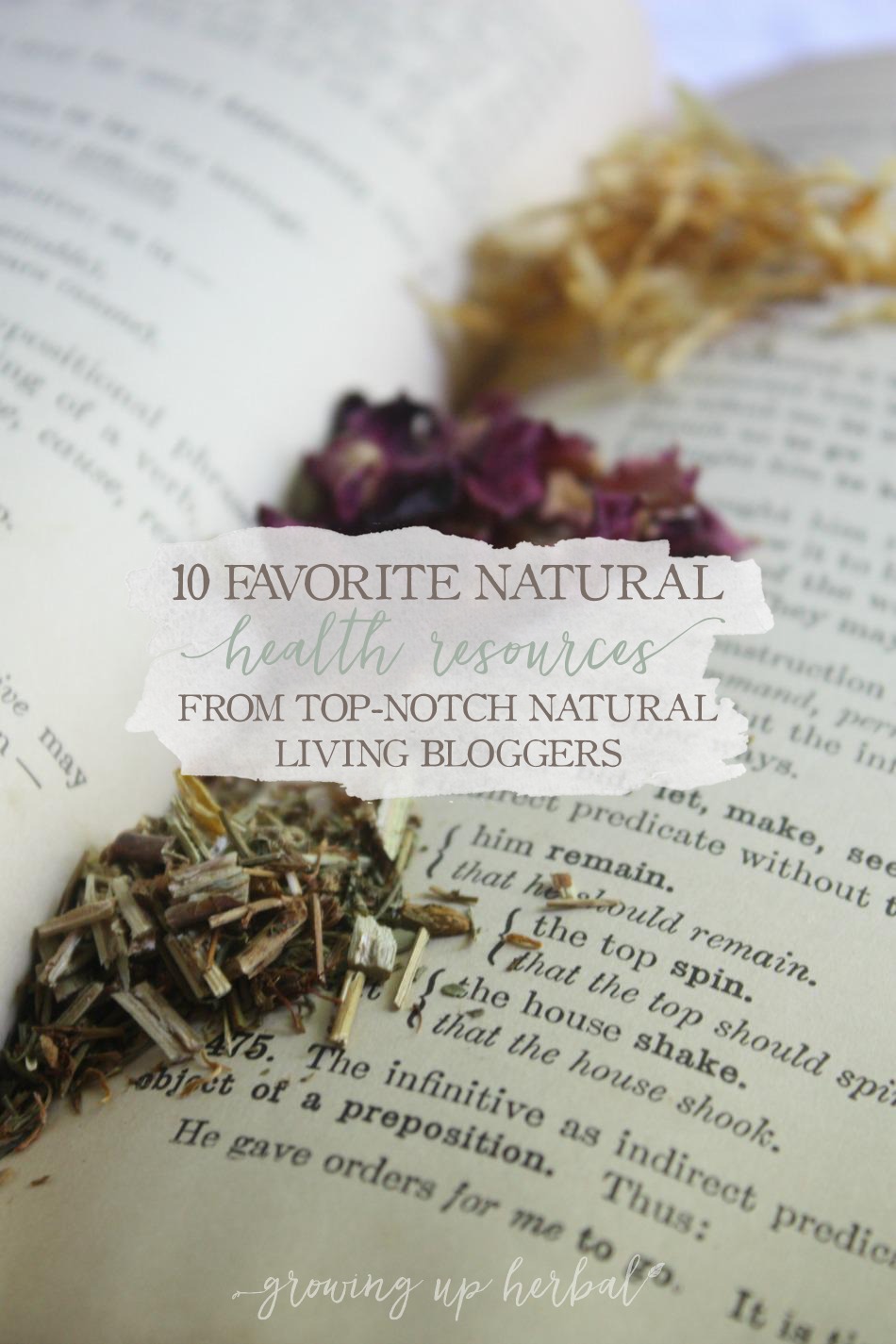 10 Favorite Natural Health Resources From Top-Notch Natural Living ...