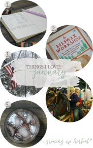 Things I Love: January 2017 | Growing Up Herbal | I'm sharing some more of my favorite things from January 2017... including essential oil blends, using leftover herbs from elderberry syrup, a blogger friends newest book, and more. Check it out!