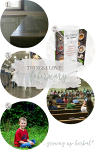 Things I Love: February 2017 | Growing Up Herbal | Today, I'm sharing 5 of my favorite things from the past month! Check it out!