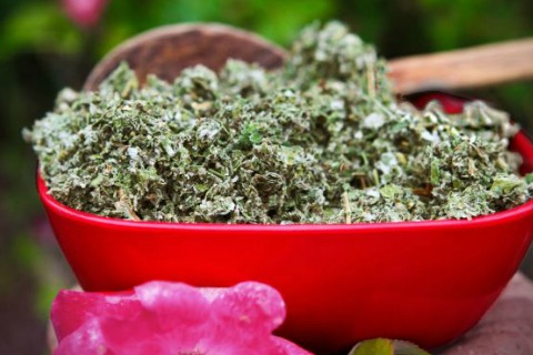 Win An Amazing Package of Natural Living Goods | Growing Up Herbal | What happens when 3 herbalists and a chiropractor plan a giveaway together? Find out here! Win An Amazing Package of Natural Living Goods | Growing Up Herbal | What happens when 3 herbalists and a chiropractor plan a giveaway together? Find out here!