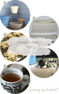 Things I Love: March 2017 | Growing Up Herbal | Some things I loved in March were an herbal tea for healthy veins, starting my 2017 reading challenge, celebrating St. Patrick's Day, healthy breakfast cookies, and painting planters for spring plants! Come check it out!