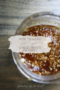 How To Make And Use Garlic Honey (or Syrup) | Growing Up Herbal | Learn how I use garlic honey for viral and bacterial illnesses and infections. It's easier than you think... and so healthy for you!
