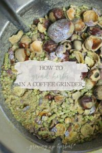 How To Grind Herbs In A Coffee Grinder | Growing Up Herbal | Learn how to correctly grind herbs in a coffee grinder in order to extract more of their properties!