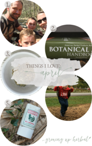 Things I Love: April 2017 | Growing Up Herbal | Some things I loved in April were woodland hikes, herbal books, herbal teas for school time, an herbal wound ointment, and more! Come check it out!