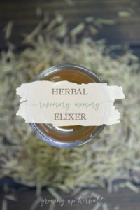 Herbal Rosemary Memory Elixir | Growing Up Herbal | Support memory health with herbs. This rosemary memory elixir is a great, tasty way to get you started!