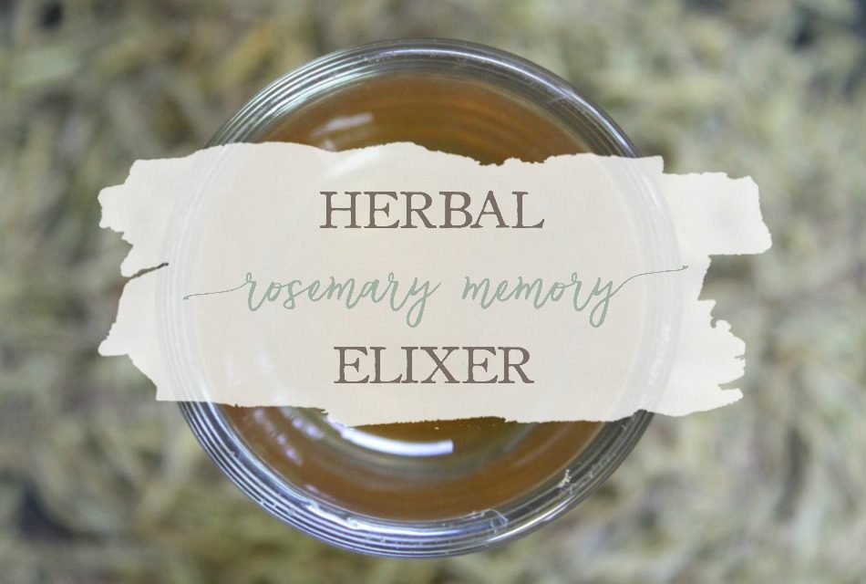 Herbal Rosemary Memory Elixir Growing Up Herbal