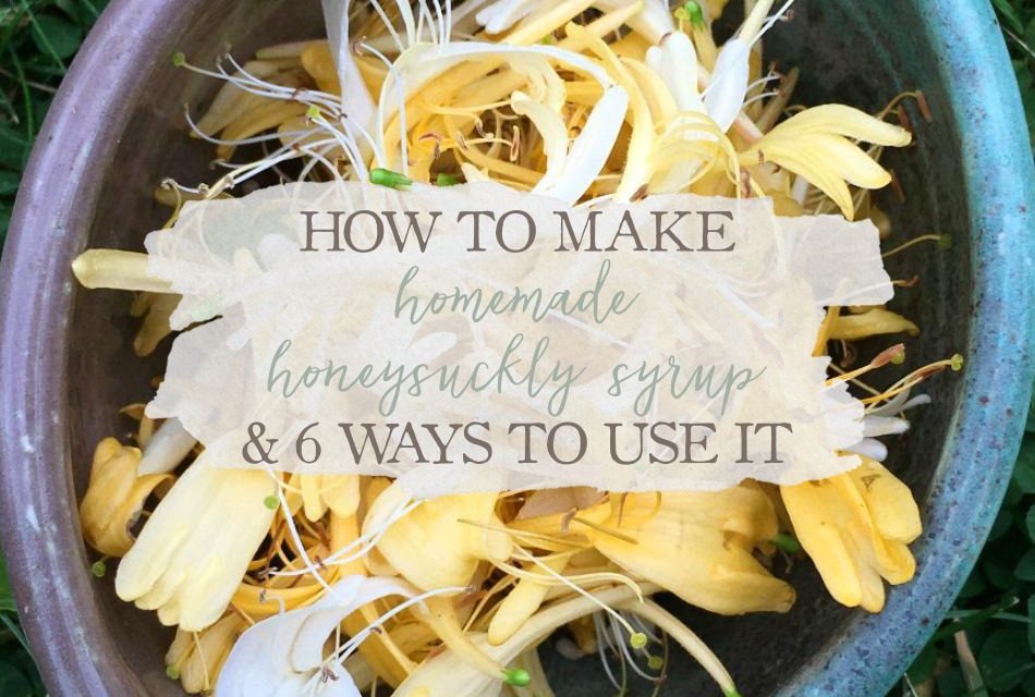 How To Make Homemade Honeysuckle Syrup & 6 Ways To Use It Growing Up