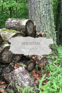 Mountain Moments | Growing Up Herbal | I'm sharing some of my favorite moments here on the mountain lately. Come check it out!