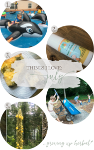 Things I Love: July 2017 | Growing Up Herbal | Cousin's Party 2017, summer foraging, breakfast recipes, and more. Here are 5 of my favorite things from this past month!