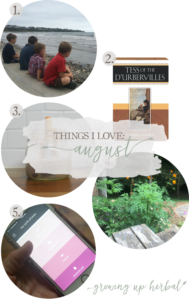 Things I Love: August 2017 | Growing Up Herbal | Maine vacations, wildflower gardens, period trackers, makeup brush cleaner, and classic books are some of the things I loved this past August!