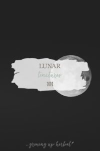 Lunar Tinctures 101 | Growing Up Herbal | There are many different ways to make tinctures, and one of those ways is to make what’s called a lunar tincture. Learn today how to make your own!