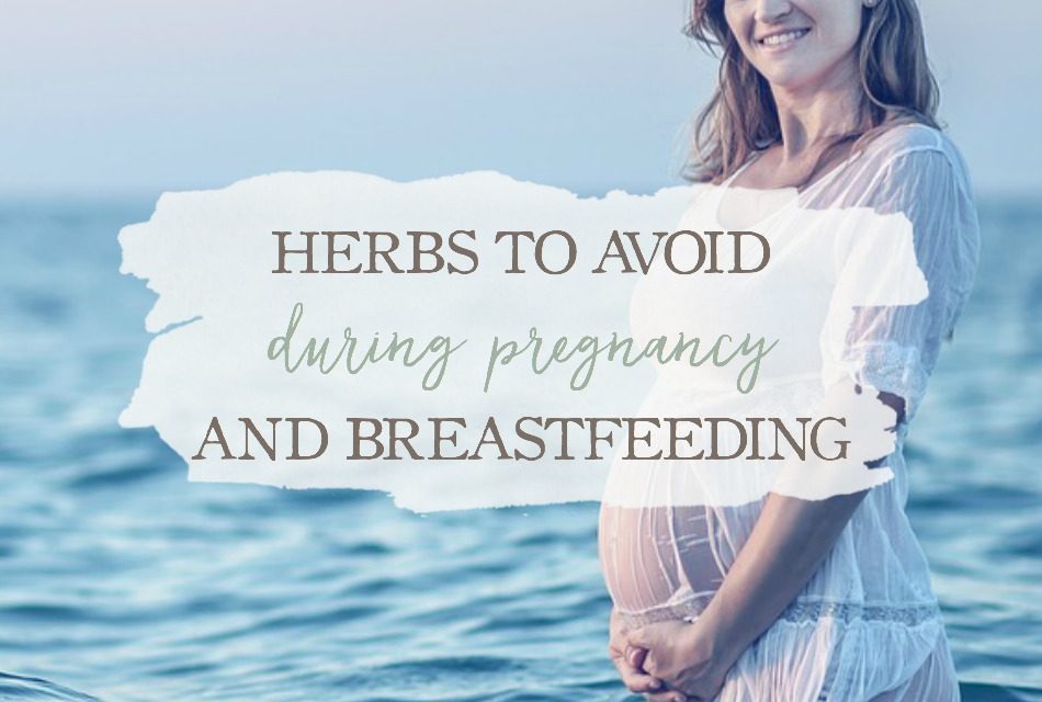 Herbs To Avoid During Pregnancy & Breastfeeding Growing Up Herbal