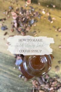 How to Make Wild Cherry Bark Cough Syrup | Growing Up Herbal | Soothe your child’s next cough with this effective herbal cough syrup featuring wild cherry bark!