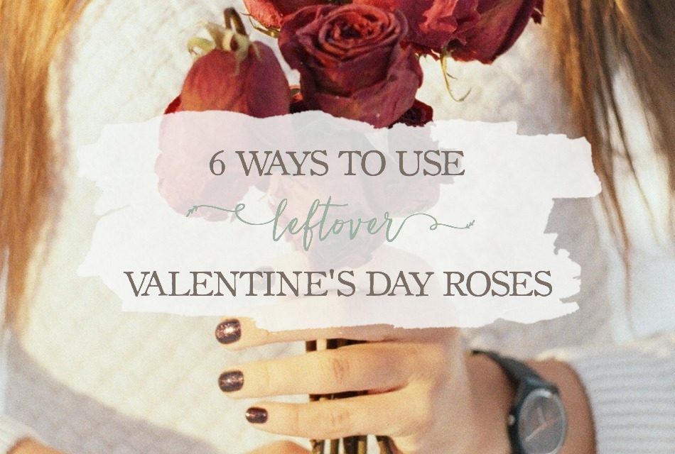 6 Ways To Use Leftover Valentine’s Day Roses Growing Up Herbal