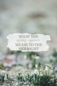 What The Spring Equinox Means To The Herbalist | Growing Up Herbal | Ever wondered how the changing of the seasons impacts you as an herbalist? Read more here to find out some interesting facts about the Spring Equinox as well as what it means to the herbalist.