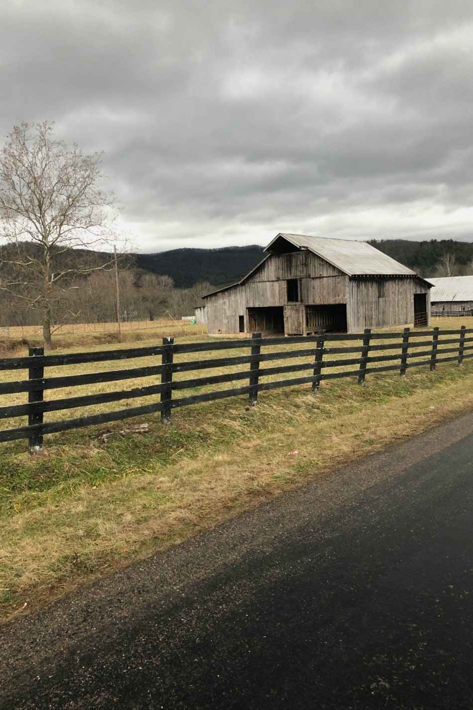 A Drive Along The County Backroads Of East Tennessee | Growing Up Herbal | Driving along the county backroads of East Tennessee is one of my favorite things to do on slow evenings. A Drive Along The County Backroads Of East Tennessee | Growing Up Herbal | Driving along the county backroads of East Tennessee is one of my favorite things to do on slow evenings.