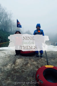 9 Random Things | Growing Up Herbal | Random thoughts this February - online herbal courses, homeschool schedules, seasonal living, books I’m reading, and more.