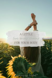 A Little Liver Spring Cleaning for Your Body | Growing Up Herbal | The season of spring is associated with liver health. In this post, I’m sharing four ways I’m doing a little liver spring cleaning this year.