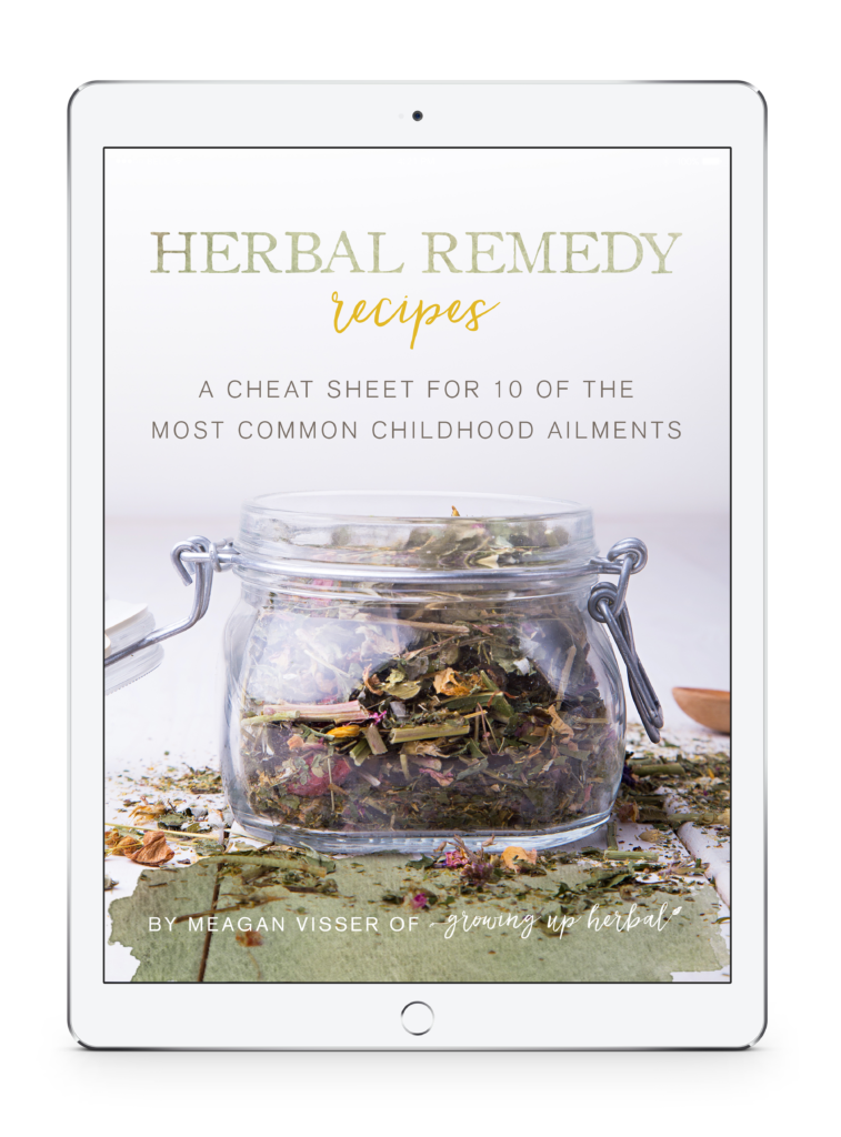 Herbal Remedy Recipes A Cheat Sheet For 10 Of The Most Common