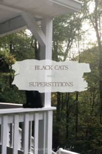 Black Cats and Superstitions | Growing Up Herbal | Meet our black cat, Oliver. According to superstition, black cats are thought to bring bad luck, but do they?