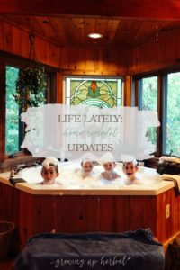 Life Lately: Home Remodel Updates | Growing Up Herbal | Mid-October musings on home remodels, autumn days, and life lately.