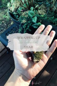 Wrapping Up The Homeschool Year | Growing Up Herbal | Between work, remodeling a house, and living out of our suitcases, we’re also wrapping up the homeschool year this month!